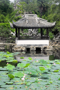 �����԰�ķ�ͤ������ˮ�� 