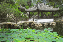 �����԰�ķ�ͤ��ˮ��԰��