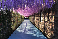 ���ٳ���