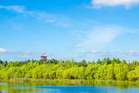 �t����Զ��