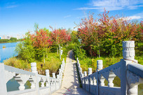 ���ֹ���