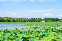 �ɻ�����ͤ����