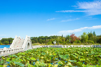 ���ź���