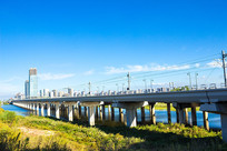 ʪ�ص�����