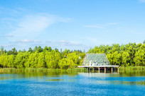 ˮ�ϲ�����