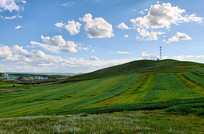 ɽ����������ũ��