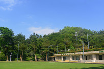 ���ڱʼ�ɽ-�ݵع���