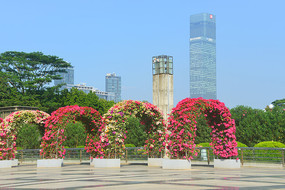 深圳市民中心广场鲜花廊架 