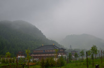 μ��Դɭ�ֹ�԰������Ӱ