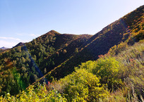 �����������ľ��ï��ɽ��