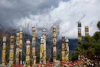 ����ѩɽ���µ�����