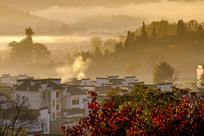 ����¬�峿��