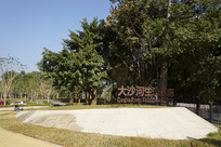 �����������Ĵ�ɳ����̬���� 