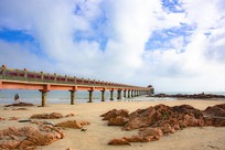 ���ߵ���