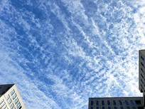 д��¥���������Ƶ�ε�����