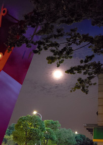 ��������ͷ