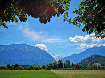 ��������С����Ұ