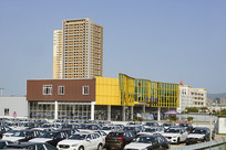 �ɶ����տ�����ữ���� 