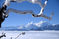 ���Ҷ�ң�����¡���ɽ��ͽ���ɽ