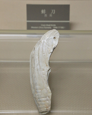 �����M��