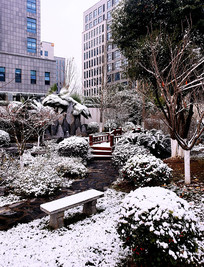 �Ϲ���ѩ��԰������