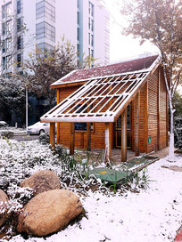 �Ϲ���ѩСľ��