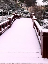 �Ϲ���ѩС��