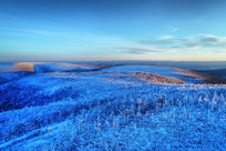 ���˰���ԭʼɭ����ڡ