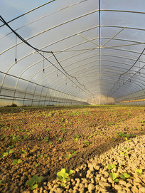 ����С���߲�