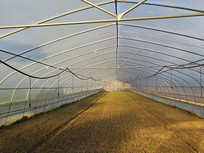 �ող��ִ���