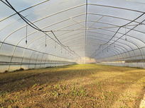 ������˴���