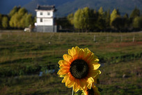 ��Ұ���տ�