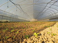 ����Ƽ�����