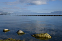 ���϶�����ɫ