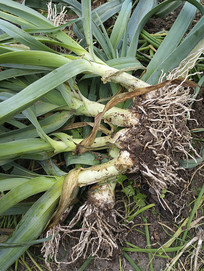 �δ�����