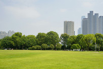 ��ɳ�����޲�ƺ�̵�