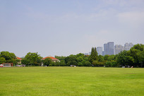 ��ɳ�����޴��ƺ 