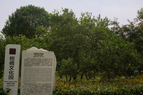 ��ɳ�����޸����Ļ�԰ 