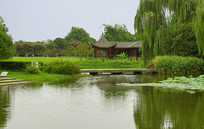 ��ɳ��������ʽˮ��԰�� 