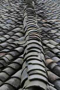 ���������ݶ�