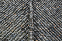 ����͸��