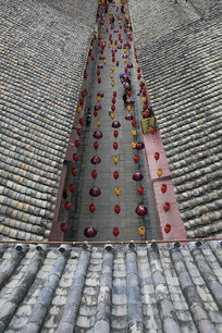 ��ľ���Ͻ�