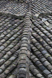 ���߱���