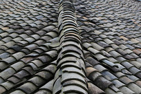 �����ݶ�