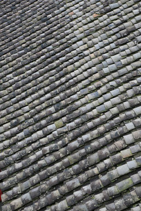 �ݶ����߱���