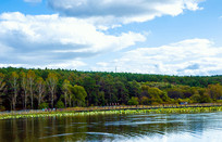 ����̶������԰����