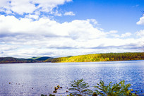 ����̶ˮ���ﾰ