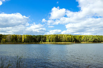 ����̶̶ˮɭ���ﾰ