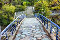 ����̶������