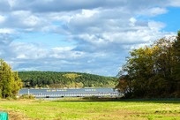 Զɽ̶ˮɭ�ֲݵ�